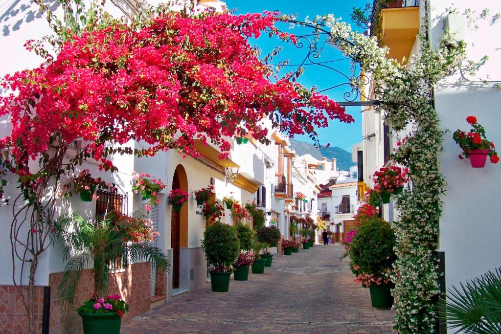 A street in Estepona old town, with bougainvillea